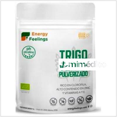 TRIGO VERDE PULVERIZADO 200GR. ECO VEGAN SG ENERGY FEELINGS