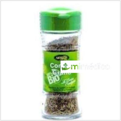 ESPECIA DE COMINO EN GRANO 20GR. BIO ARTEMIS BIO