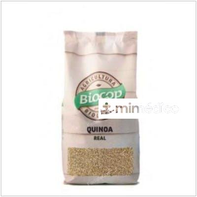 QUINOA REAL EN GRANO 500GR. BIO BIOCOP