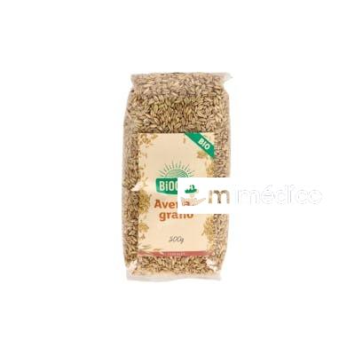 AVENA EN GRANO 500GR. BIO BIOGRA