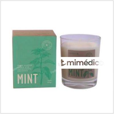 VELA VASO BOTVASM MINT MENTA 7,5X9CM 1UD CERABELLA