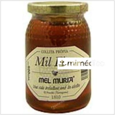 MIEL DE MIL FLORES 500GR. MURIA