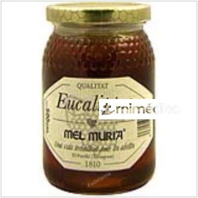 MIEL DE EUCALIPTO 500GR. MURIA