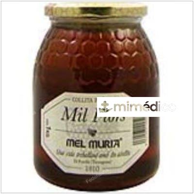 MIEL DE MIL FLORES 1KG. MURIA