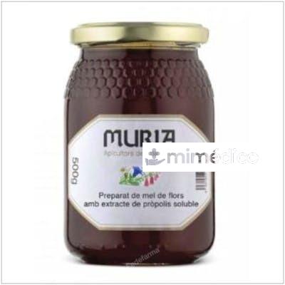 MIEL DE MIL FLORES CON PROPOLIS 500GR. MURIA