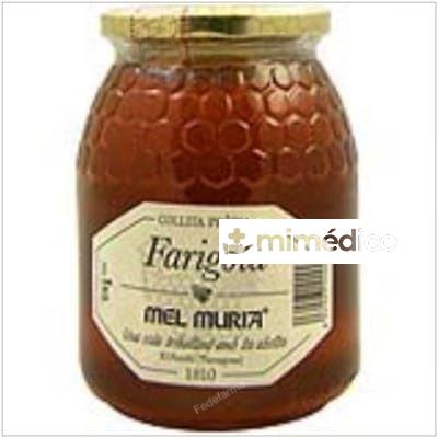 MIEL DE TOMILLO 1KG. MURIA