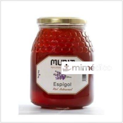 MIEL DE ESPLIEGO 1KG. MURIA