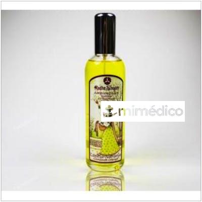 AMBIENTADOR CANELA NARANJA  100ML. RADHE SHYAM