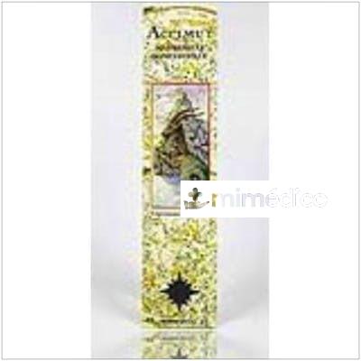INCIENSO STICK HOROSCOPO CAPRICORNIO RADHE SHYAM