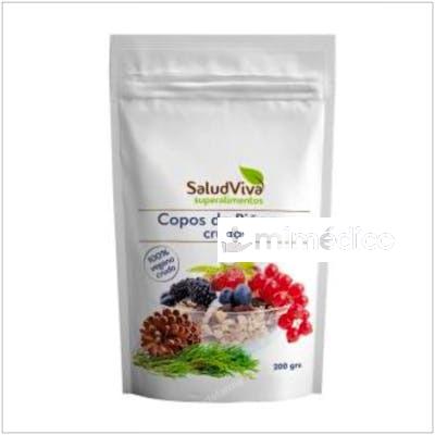 COPOS DE PIÑONES CRUDOS 200GR. SALUD VIVA