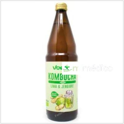 KOMBUCHA LIMA Y JENGIBRE 750ML. BIO VOELKEL
