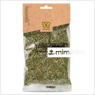 COLA DE CABALLO BOLSA 40GR. NATURCID