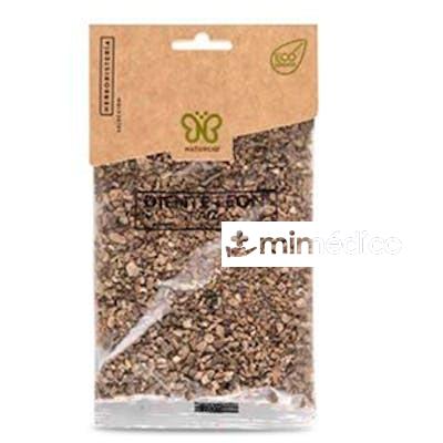 DIETE DE LEON RAIZ 50GR. ECO NATURCID