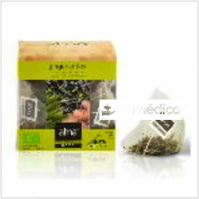 TE VERDE GINGER ANTIOX INFUSION 15PIRAMIDES.ECO ALMA HOME