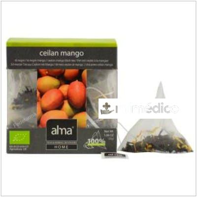TE MANGO INFUSION 15PIRAMIDES. ECO VEGAN ALMA HOME