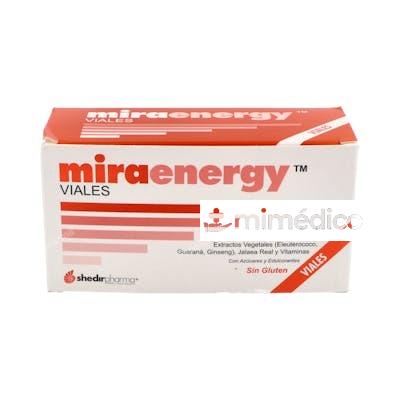 MIRAENERGY 10AMP. SHEDIR