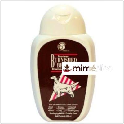 CHAMPU PELO MARRON PERROS 250ML. RING 5 VETERINARIA