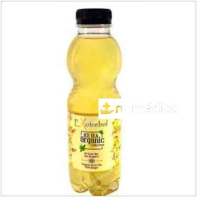 TE VERDE CON JENGIBRE 500ML. BIO EKOTREBOL