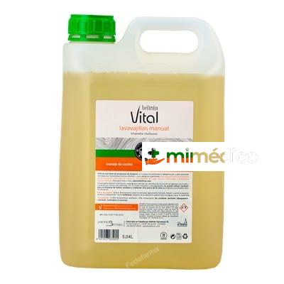 LAVAVAJILLAS LIQUIDO 5L. BELTRAN VITAL