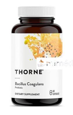 BACILLUS COAGULANS (PROBIOTICO) 60 CAPS THORNE RESEARCH