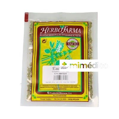 MACOESA EUCALIPTO HERBOFARMA 50GR MACOESA