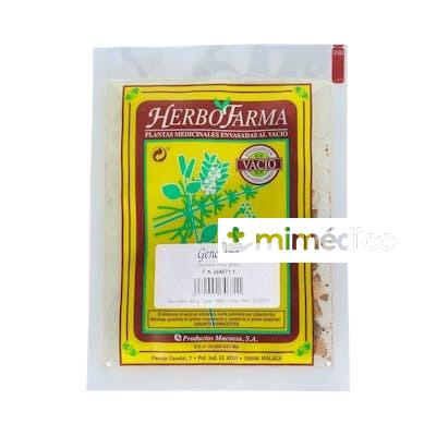 MACOESA GENCIANA HERBOFARMA 40GR MACOESA