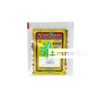 MACOESA TE VERDE HERBOFARMA 40GR MACOESA