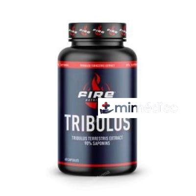 TRIBULUS TERRESTRIS 90SAPONINS 60CAP. FIRE NUTRITION