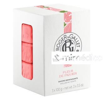 JABON FLEUR FIG COFFRET 100G 3UN R&AMP;G