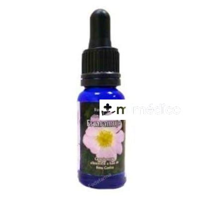 ESCARAMUJO ESENCIA TRIUNIDAD 15ML. PHYTOVIT