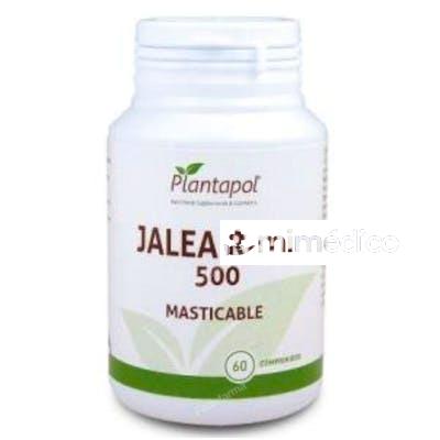 JALEA REAL 565MG. 60COMP MASTICABLE PLANTAPOL