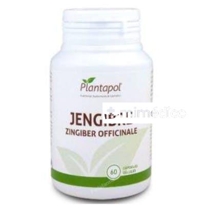 JENGIBRE 600MG. 60CAP. PLANTAPOL