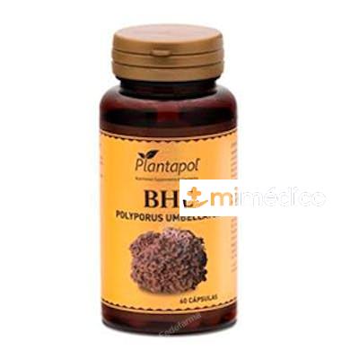 BHE POLYPORUS + ESCARAMUJO 60CAP. PLANTAPOL