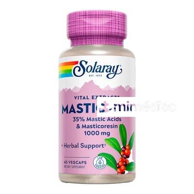 MASTIC GUM 500MG. 45CAP.VEG SOLARAY