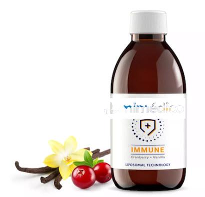 IMMUNE LIPOSOMAL 250 ML ARANDANO VAINILLA ACTINOVO