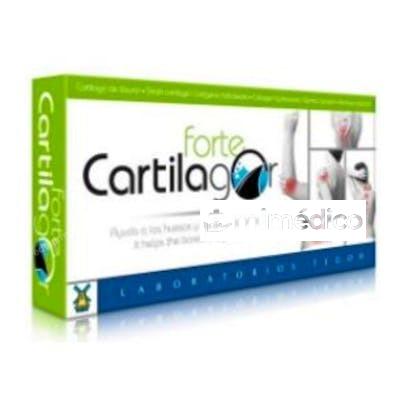 CARTILAGOR FORTE 40CAP. TEGOR