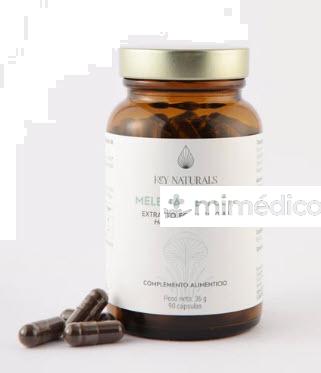 MELENA DE LEON EXTRACTO ECOLOGICO 8:1 90CAPS. KEYNATURALS