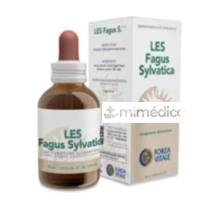 LES FAGUS SYLVATICA HAYA 50ML. FORZA VITALE