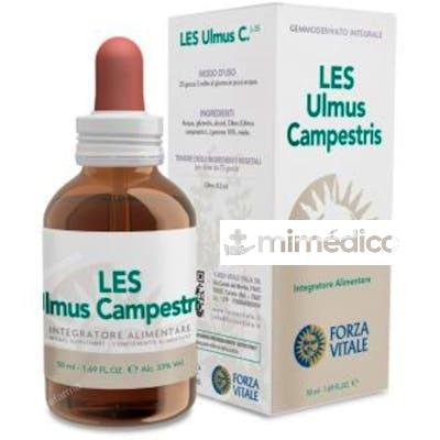LES ULMUS CAMPESTRIS OLMO 50ML. FORZA VITALE