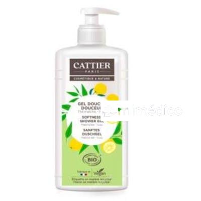 GEL DE DUCHA SUAVIZANTE TE MATCHA-YUZU 887ML. CATTIER