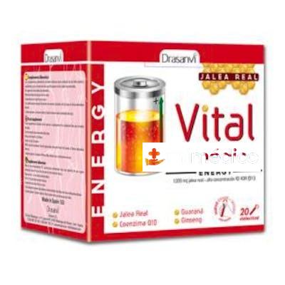 VITALPUR ENERGY 20VIALES DRASANVI