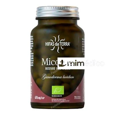 MICO REI (REISHI) HDT 70CAP. HIFAS DA TERRA - HDT
