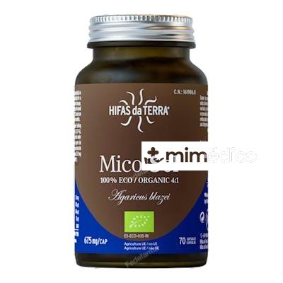 MICO SOL (CHAMPIÑON DEL SOL) HDT 70CAP. HIFAS DA TERRA - HDT