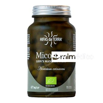 MICO LEO (MELENA DE LEON) CON VIT. C HDT 70CAP. HIFAS DA TERRA - HDT