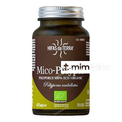 MICO POLYPOR (POLYPORUS) HDT 70CAP. HIFAS DA TERRA - HDT