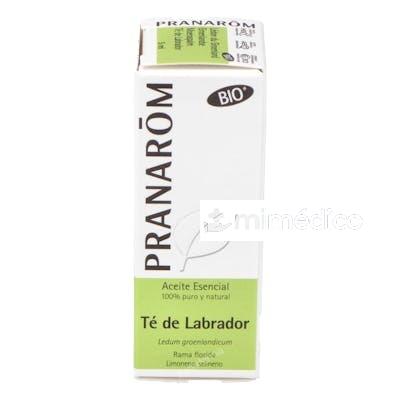 TE DEL LABRADOR ACEITE ESENCIAL BIO 5ML. PRANAROM