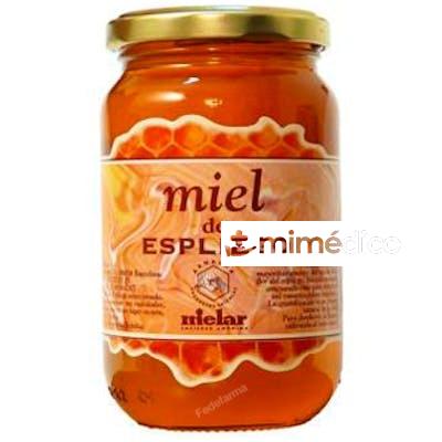 MIEL DE ESPLIEGO 500GR MIELAR