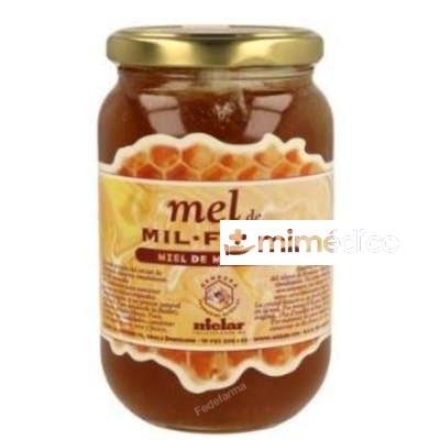 MIEL DE MILFLORES 500GR. MIELAR