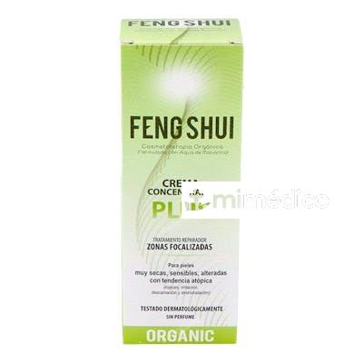 CREMA CONCENTRADA PLUS 100ML. FENG SHUI