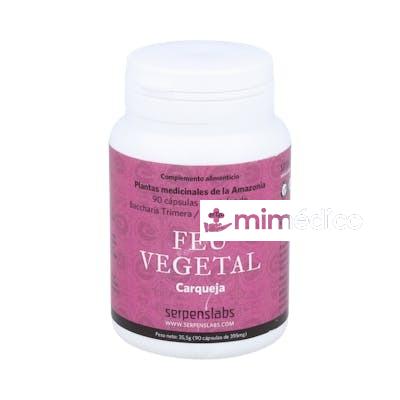 FEU VEGETAL DIGESTION 90CAP. SERPENS
